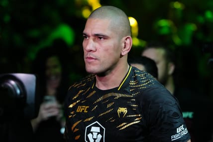ufc light heavyweight rankings