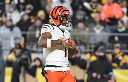 cincinnati bengals