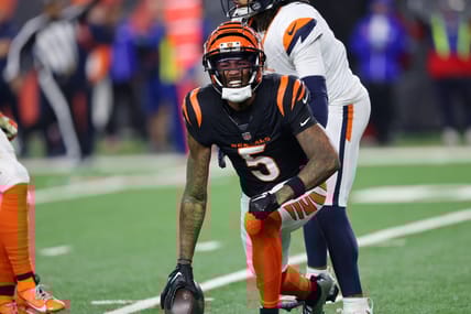 Tee Higgins